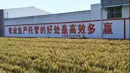 農業托管模式再啟新篇 45億補貼落地，六成紅利直抵農民腰包