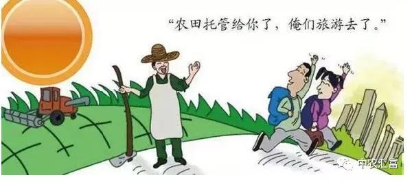 農(nóng)村土地托管合作社實操指南與收益解析